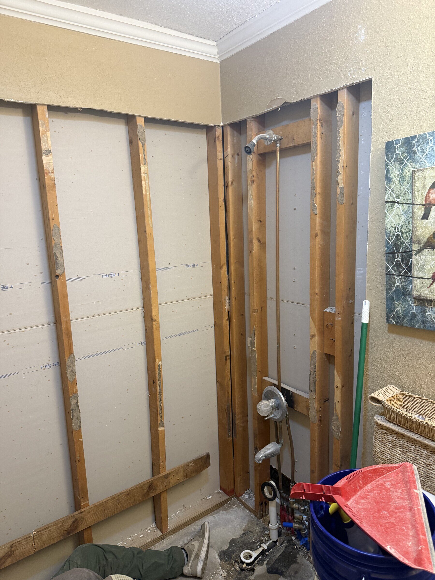 Bathroom wall opened during selective demolition for a Northeast Florida remodel